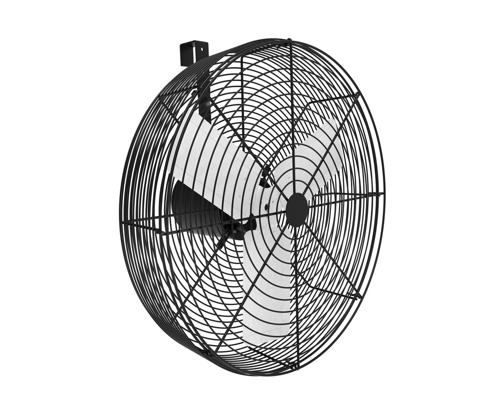 24" Livestock Show Fan